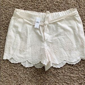 Loft Shorts